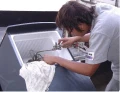 新竹冰箱-洗衣機專業維修修理保養
