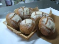 北極熊藝術烘焙坊「天然酵母」來製作麵包