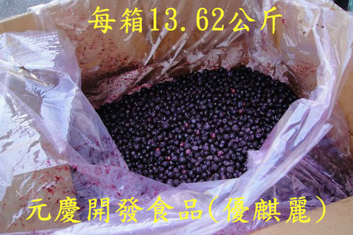 新鮮冷凍藍莓果 13.62kg