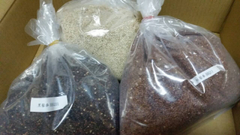 進口大量藜麥批發0800-800-803