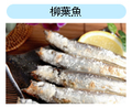 海龍王獨家鹽燒柳葉魚