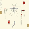 【不可輕忽的蚊子】除了叮咬造成紅腫發癢外，是許多傳