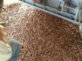 馬來西亞純木屑木質顆粒