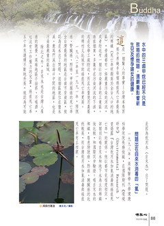 佛祖心雜誌～水是造成台灣癌症的主要殺手（上）