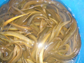 孟加拉螃蟹黃鱔出口