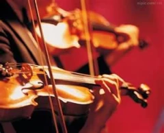 中華民國小提琴協會