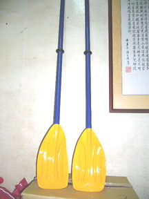划槳