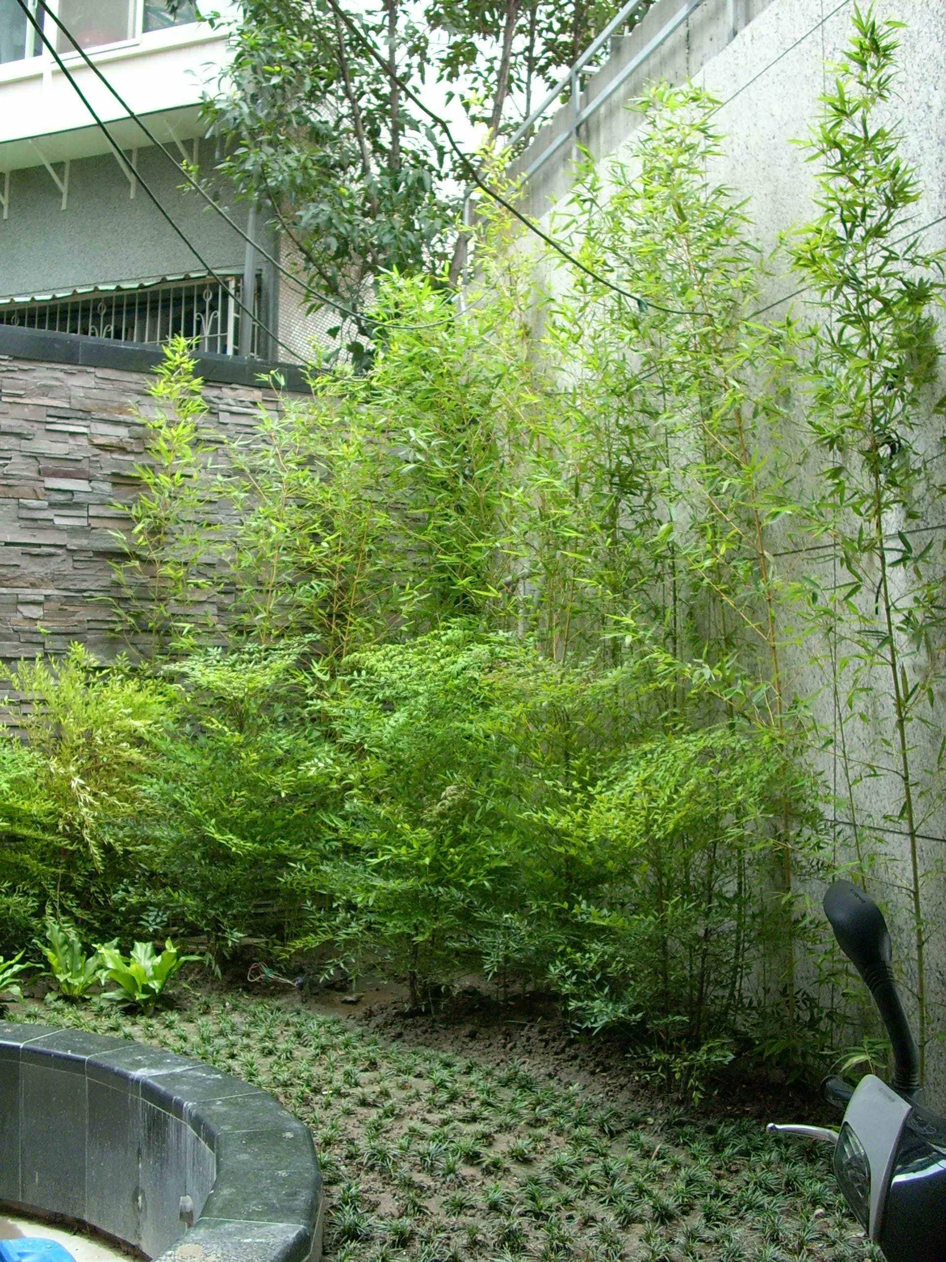 達盛農業有限公司