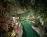 藝軒坊國際有限公司