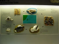 藝軒坊國際有限公司