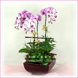 板橋花店-123花店~依而珊花藝創作坊