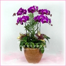 板橋花店-123花店~依而珊花藝創作坊