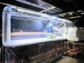 大型壓克力水族工程-中野國際-水族工程-生態展示-