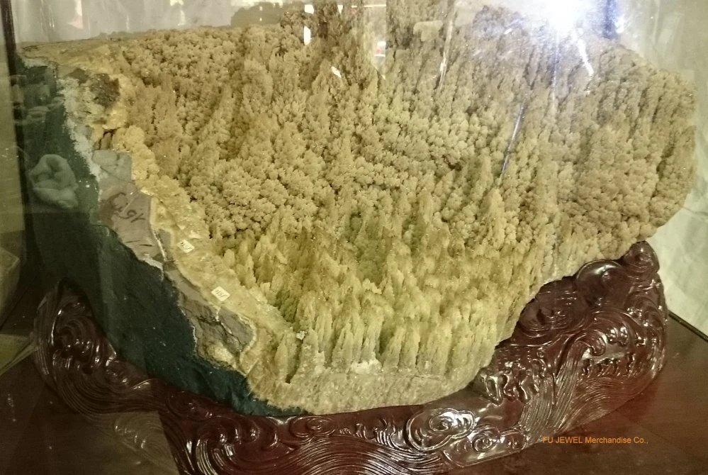 福記實業－異象