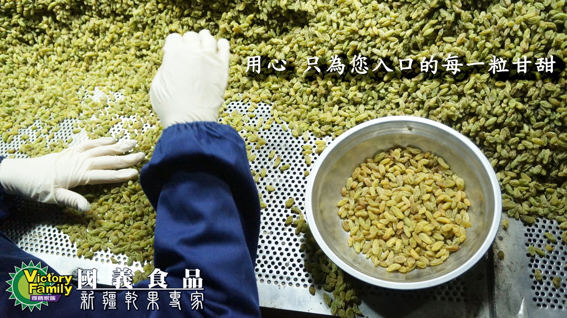 員工忙著挑選優質綠葡萄乾