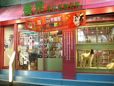 寵物美容-優雅專業寵物美容的美麗新世界