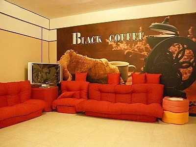 寵物美容-優雅專業寵物美容的美麗新世界