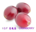 I.Q.F.蔓越莓 CRANBERRY