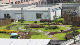 上海閩行區友誼商城對面屋頂