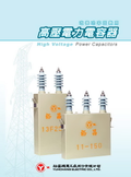 高壓電力電容器