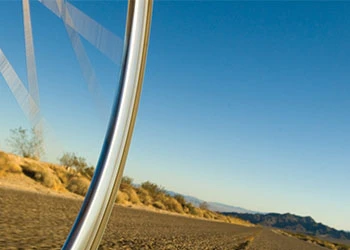 參聯國際貿易公司