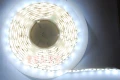 3528軟燈條5M-卷