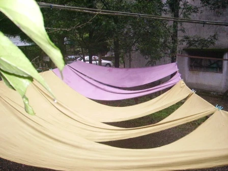 五彩繽紛植物染