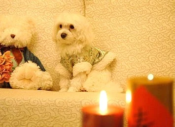 站前綠地音樂浪漫城堡民宿