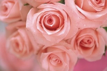 美麗新世界Spa會館