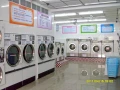 投幣自助洗衣、碳氫石油乾洗、整燙、隔離式專業洗衣機