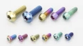鈦合金陽極發色螺絲-鈦合金螺絲專業製造