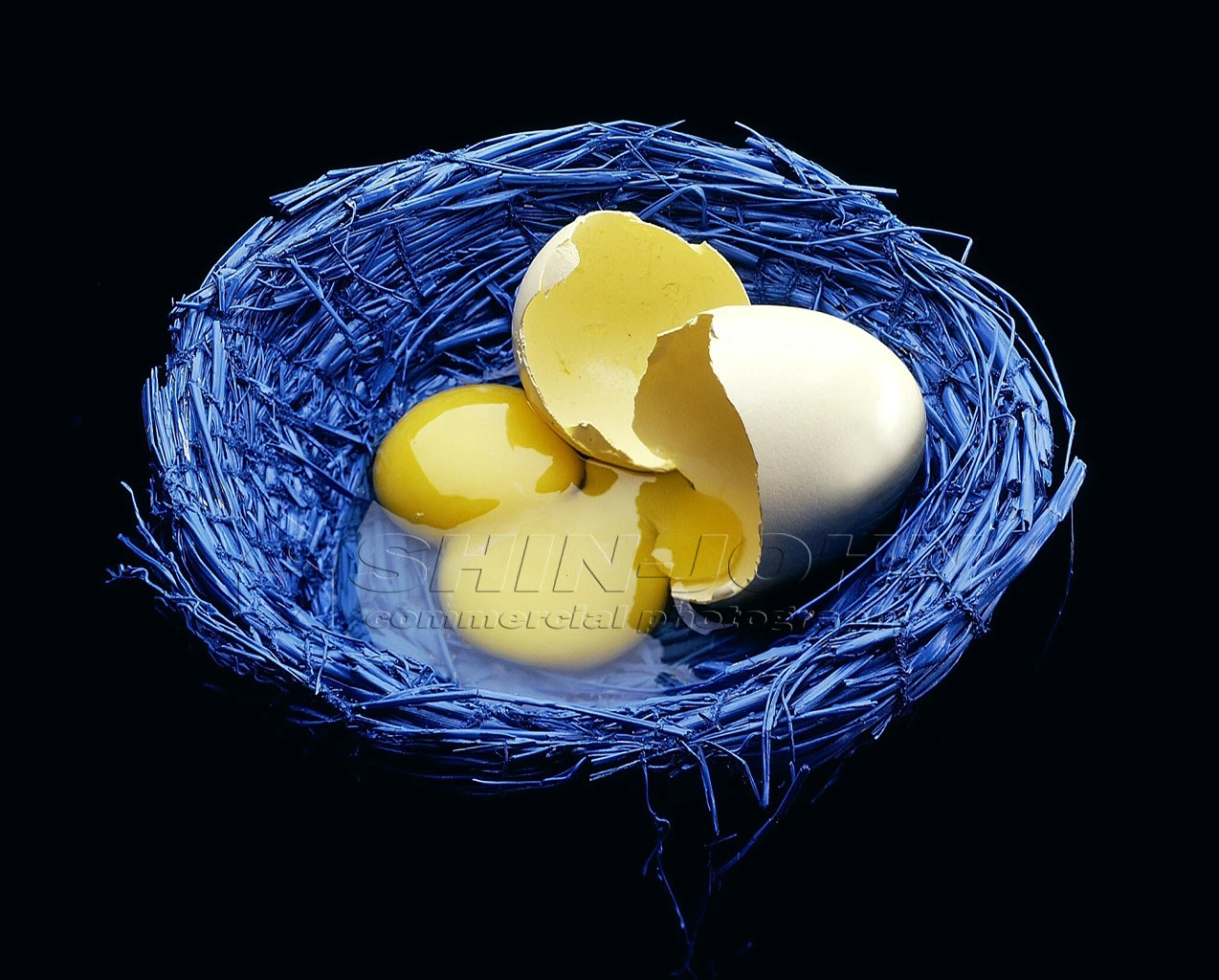 新強商業攝影設計社