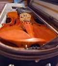 最夯的『高質感小提琴盒』奢華上市~~