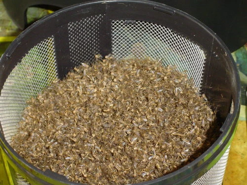 添鏸國際有限公司