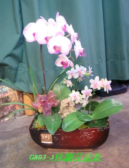 龍昇花藝精品生活館