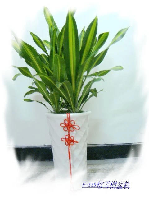 龍昇花藝精品生活館