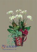 殯葬禮儀服務蘭花盆景(二)