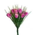 12頭芭比小鬱金香花束