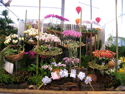 2010國際蘭花展越南區佈置