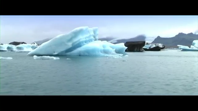 挪威海藻~海藻粉