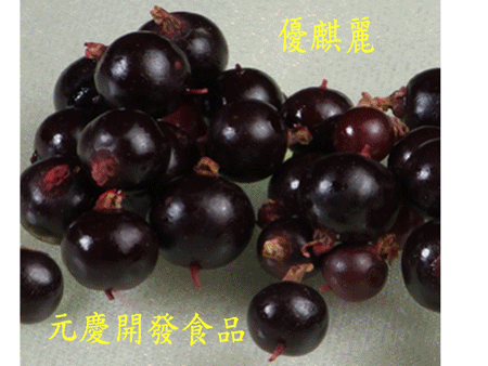 冷凍黑醋栗 黑佳麗整箱20散裝批發