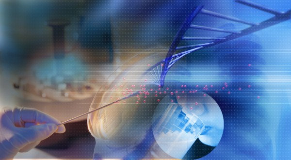 生物科技原料專區