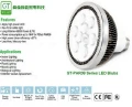 鍏倫 LED PAR38 投射燈