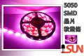 5050 led軟燈條5米-捲300燈