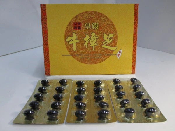 牛樟芝軟膠囊