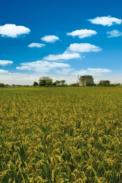 菘珊企業股份有限公司