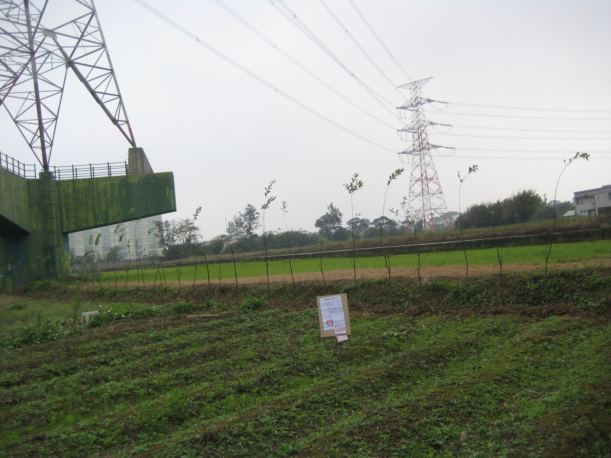 強制執行.查封土地