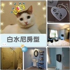 花蓮寵物民宿-狗go快樂