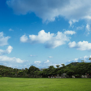 獨角仙農場旁攤位出租