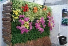 台灣綠牆開發股份有限公司